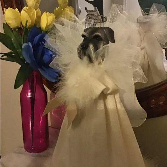 ÁNGEL GUARDIÁN  KIND TO YOUR FURRIERD FRIENDS 12in - Picture 2 of 6